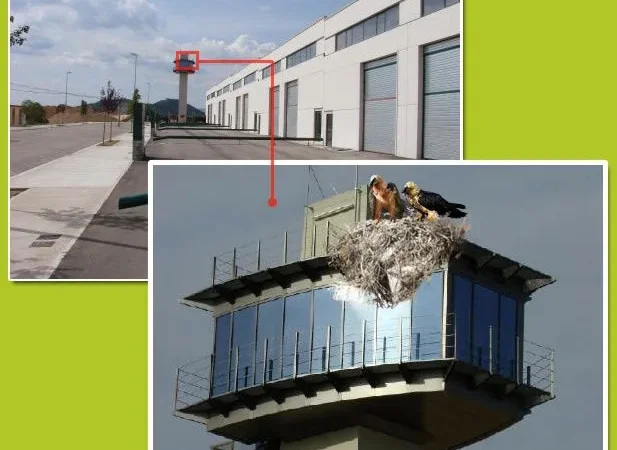 Featured image for post: Polí­gono industrial desalojado en Ayerbe