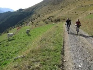 Llega el otoño al Pirineo...